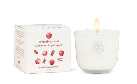 CINNAMON APPLE SPICE MINI CANDLE