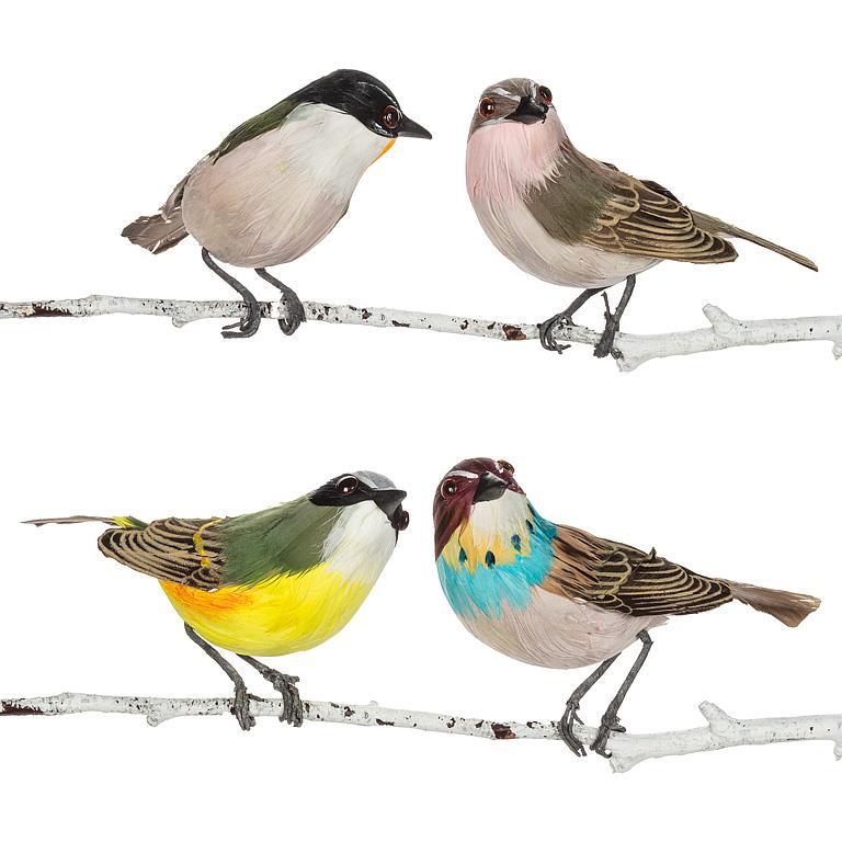 ASSORTED COLOURED BIRDS