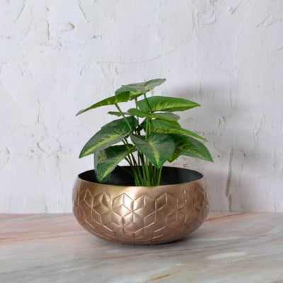 RUSSET PLANTER LARGE