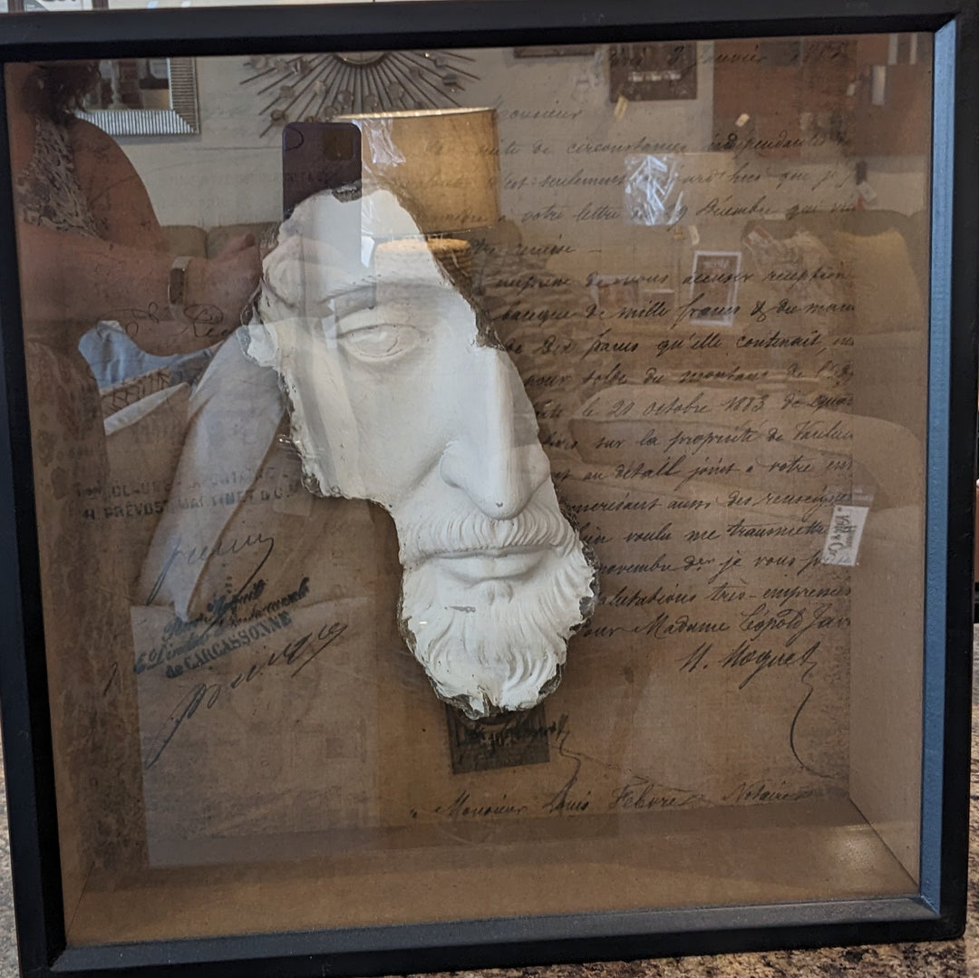 HALF A ROMAN FACE IN SHADOW BOX