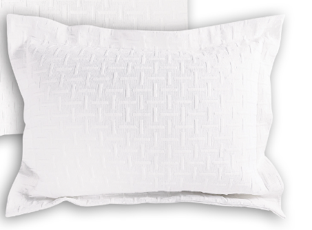 SINTRA P. SHAM- STD/QN- 20X28"