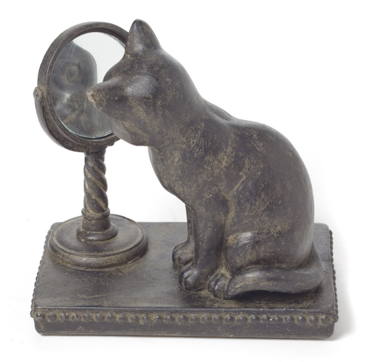 SMALL CAT GAZING IN THE MIRROR - Kate & Co. Home
