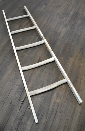 WHITE WASH WHITE LADDER
