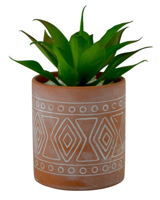 SUCCULENT IN A NAVAJO POT - Kate & Co. Home