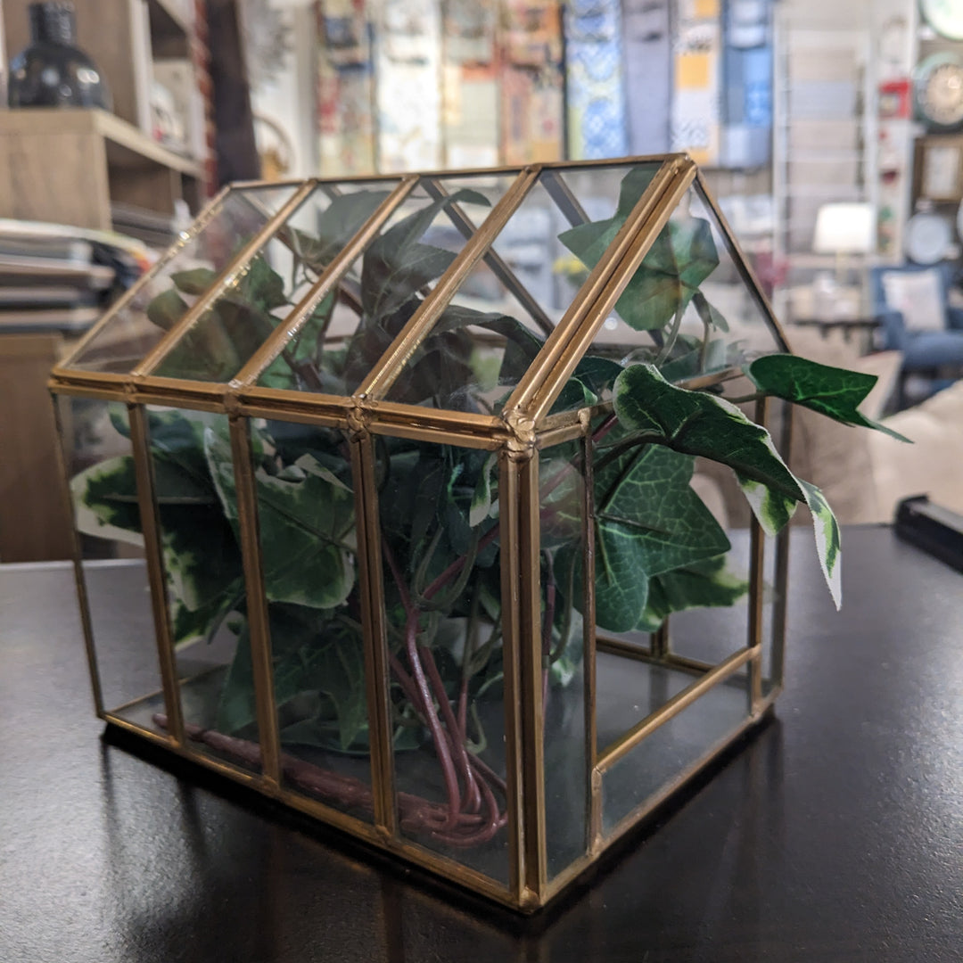 GLASS TERRARIUM