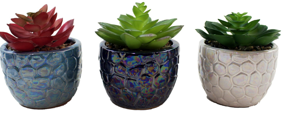 POT/PLANT BLACK /WHITE/BLUE - ASSORTED
