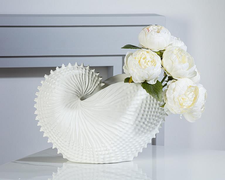 JUMBO NAUTILUS SHELL