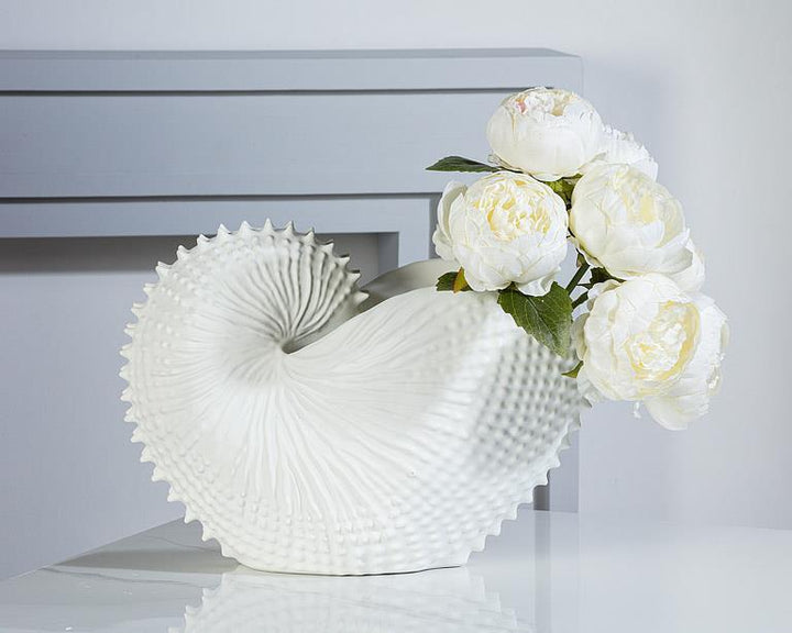 JUMBO NAUTILUS SHELL