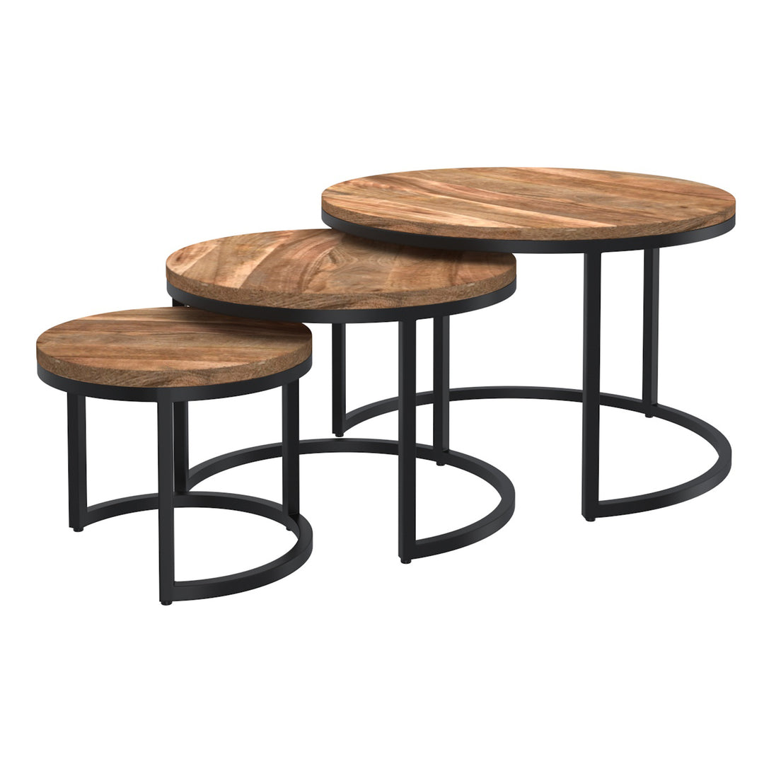 DARSH-3 PIECE COFFEE TABLE SET