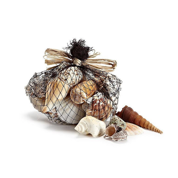 MIX SEA SHELLS- PACKAGE