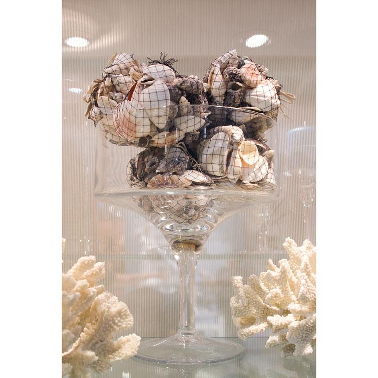 MIX SEA SHELLS- PACKAGE