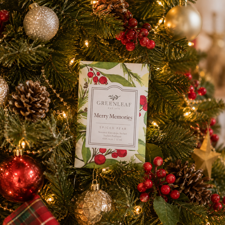 Merry Memories Large Sachet