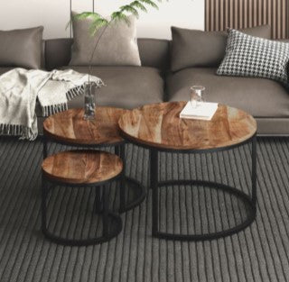 DARSH-3 PIECE COFFEE TABLE SET