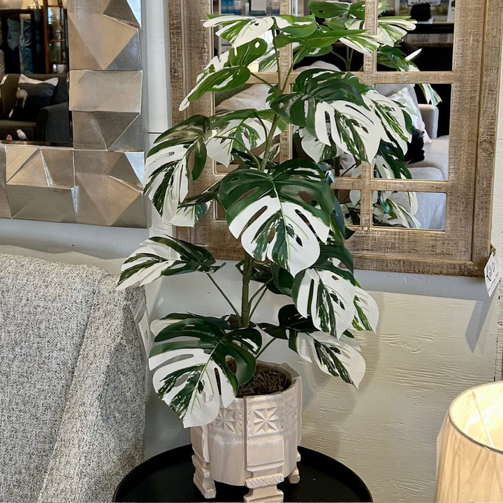 FAUX VARIGATED MONSTERA