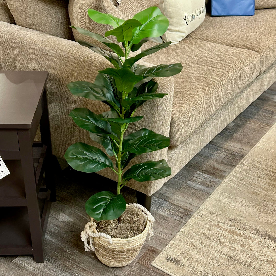 faux fiddle leaf fig tree in basket FAUX FIDDLE LEAF FIG TREE IN BASKET – Kate Co Home & Design Studio