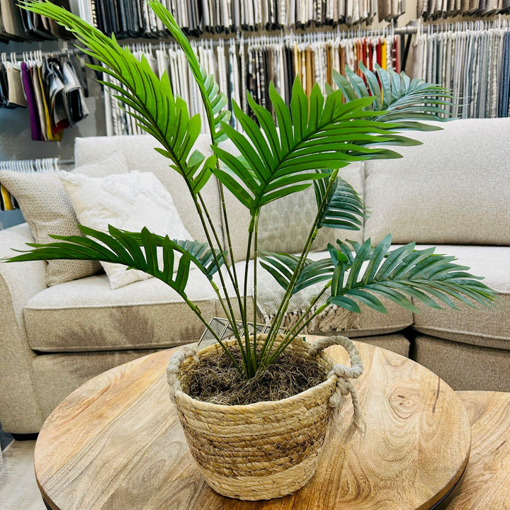 FAUX PALM TREE IN BASKET