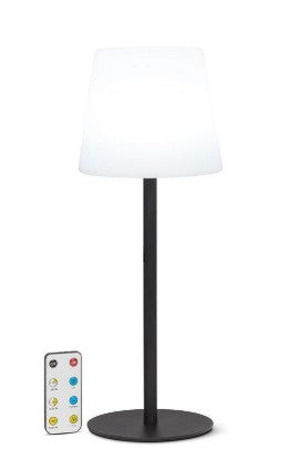 INDOOR/ OUTDOOR CORDLESS LAMP/ W REMOTE