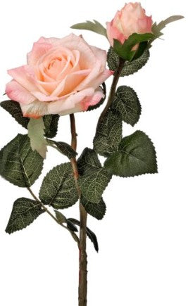 JULIETTE ROSES WITH BUD