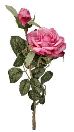 JULIETTE ROSES WITH BUD