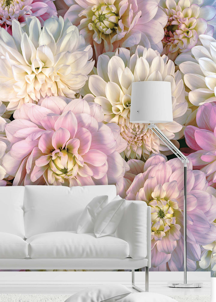 DAHLIA FLOWERS WALL MURAL