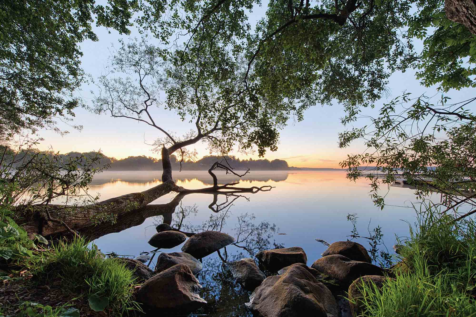 LAKE VIEW WALL MURAL – Kate Co Home & Design Studio