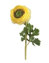 N21760 YELLOW RANUNCULA - Kate & Co. Home