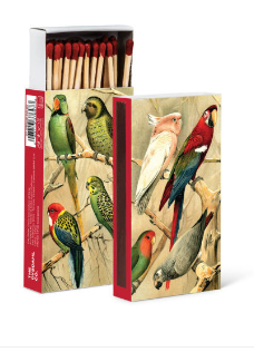 27 STRIKE DB 03 EXOTIC PARROTS MATCHES - Kate & Co. Home