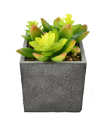 709-037 SUCCULENT PLANTER - Kate & Co. Home