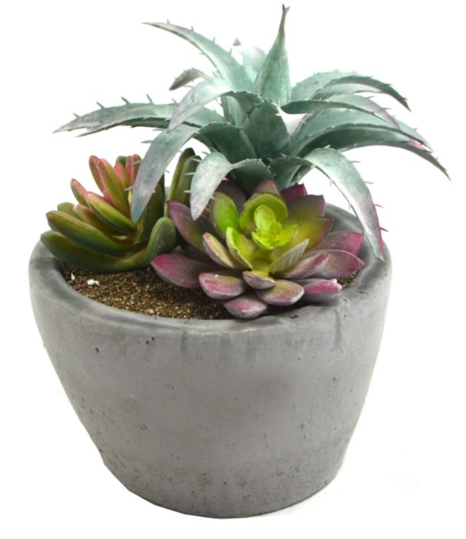 VASE WITH PASTEL SUCCULENTS - Kate & Co. Home