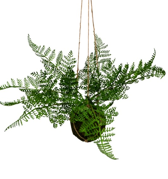 779-020 FERN BALL - Kate & Co. Home