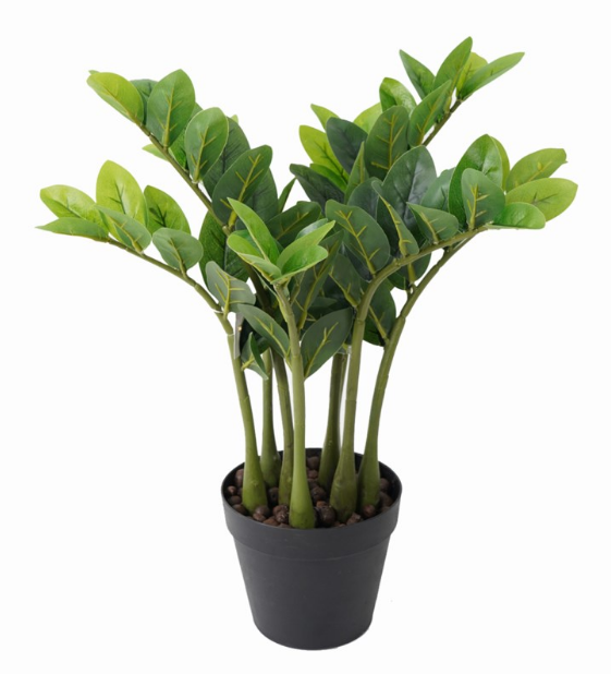 780-014 ZZ PLANT - Kate & Co. Home
