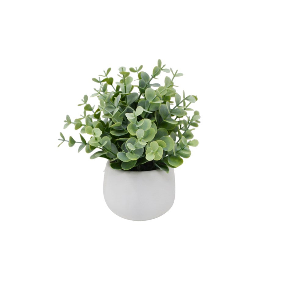 EUCALYPTUS WHITE POT 867-002 - Kate & Co. Home
