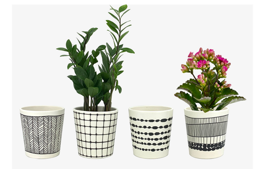 ASSORTED BLACK AND WHITE CERAMIC TAPERED PLANTER - Kate & Co. Home