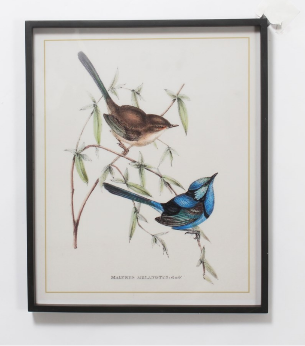 BLUE & BROWN BIRDS PRINT - Kate & Co. Home