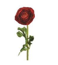 N21761 RED RANUNCULA - Kate & Co. Home